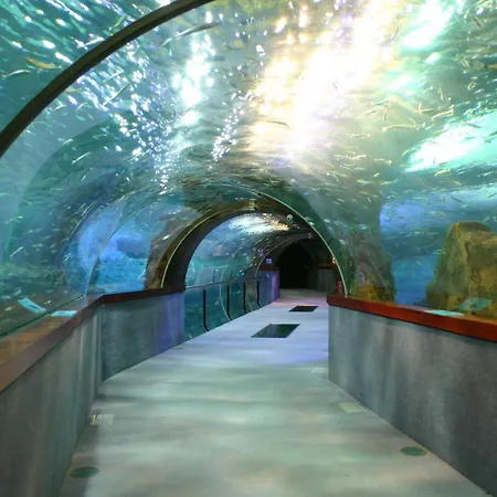 Гостьовий будинок Regil