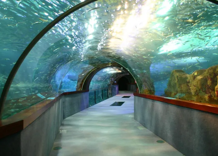 Πανσιόν Regil